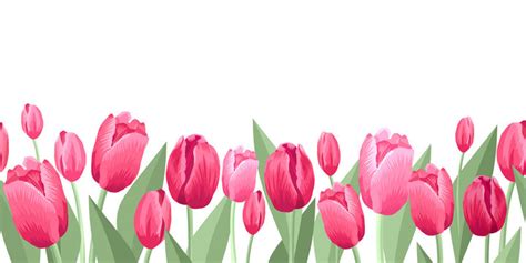 Tulips Flower Border Design