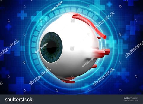 Human Eye Dissection Anatomy Stock Illustration 351501209 | Shutterstock