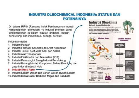 Oleochemicalpdf