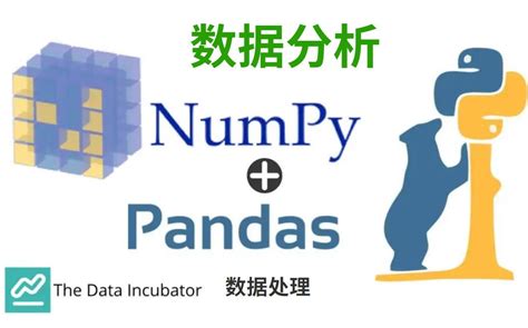 Python数据分析numpy Pandas（完整版），详细 通俗易懂 哔哩哔哩 Bilibili