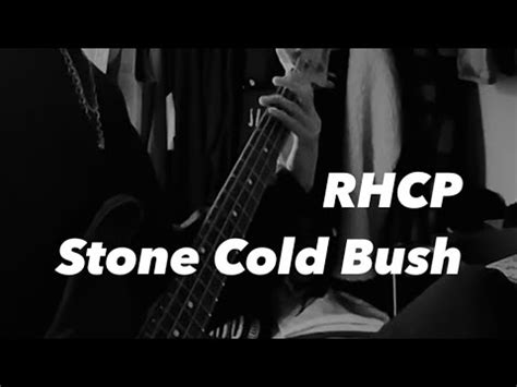 Red Hot Chili Peppers Stone Cold Bush Youtube