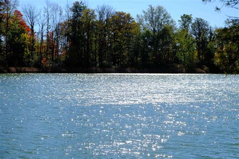 Free Images Tree Nature Shore Lake River Pond Reflection