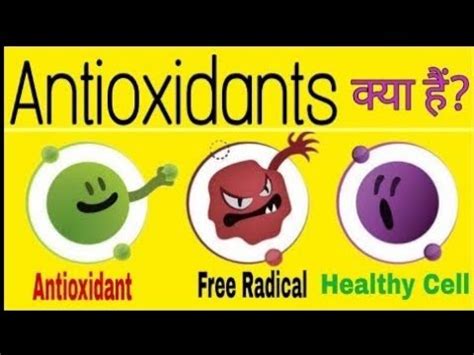 Benefit Of Antioxidants Youtube