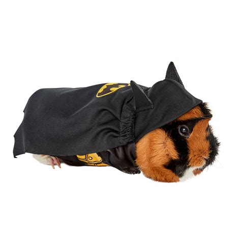 Guinea Pig In A Costume Selling Discount | www.pinnaxis.com