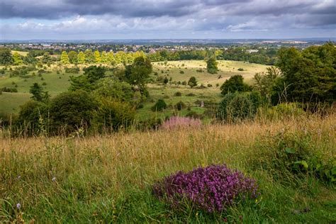 Tring Park Hertfordshire Uk Landscape Photography