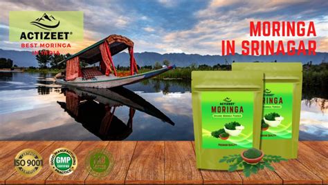 Moringa Powder In Srinagar Kashmir Best Moringa In India