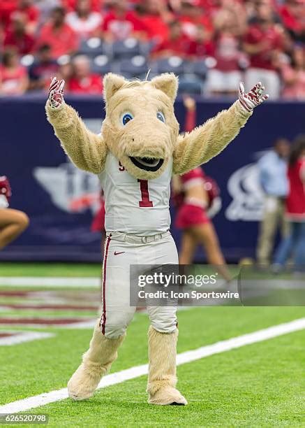 Oklahoma Sooner Mascot Photos and Premium High Res Pictures - Getty Images