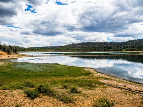 How Is the Fishing in Navajo Lake? - Trickyfish