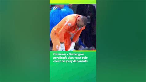 Palmeiras X Flamengo Paralisado Duas Vezes Por Cheiro De Spray De