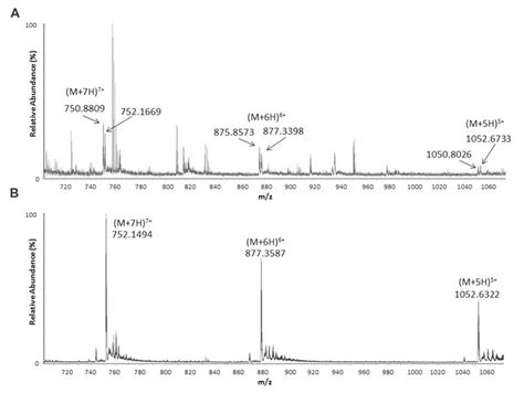 Frontiers Armadillidin H A Glycine Rich Peptide From The Terrestrial