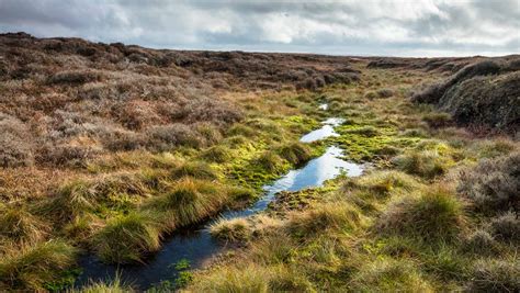 Stabilising and revegetating bare peat | Moors for the Future