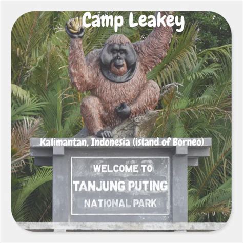 Camp Leakey Tanjung Puting National Park Square Sticker | Zazzle