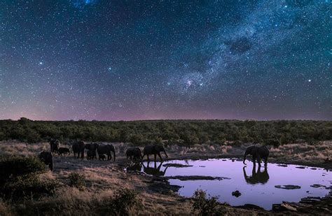 Día del ambiente los 5 mejores documentales sobre la naturaleza para