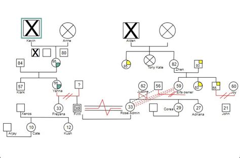 Simple Genogram Examples and Templates Free to Download