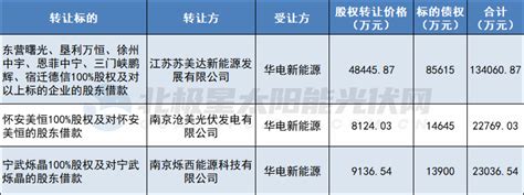 冲刺ipo，华电新能源再18亿接盘8家光伏电站项目公司凤凰光伏网