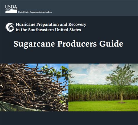 Sugarcane Producers Guide For Hurricanes Everglades Research And