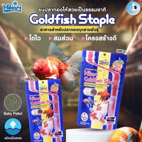 Hikari Goldfish Staple อาหารปลาทอง ชนดเมดลอย ขนาด 100g 300g