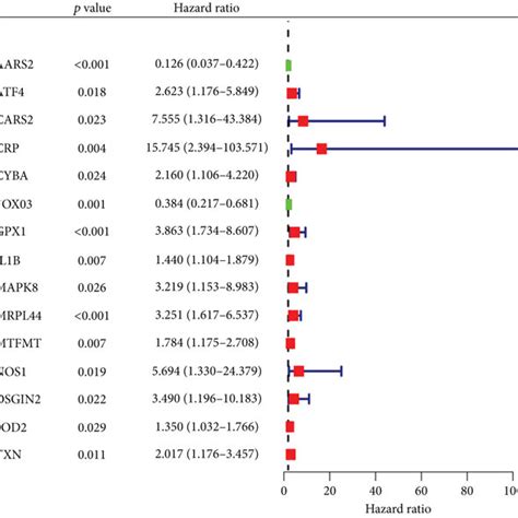 Construction Of The Prognostic Model In GEO CRC A According To The