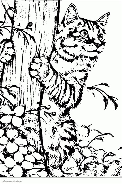 Realistic Cat Coloring Page Coloring Pages Printable