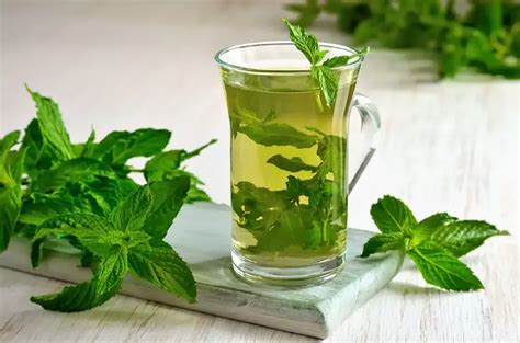 Infusi N De Menta Luego De Comer Y Sus Beneficios Para El Cuerpo