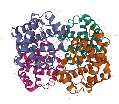 How to build and improve deep learning models with Protein Sequencing ...