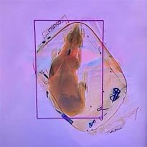 TSA Shares Proper Pet Protocol After Dog Is Sent Through X-Ray Machine