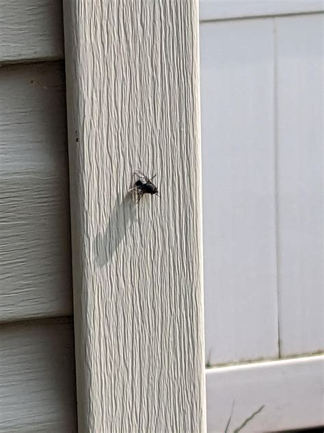 Zone 7a/b - What's eating my plants and how do I stop it? : r/gardening
