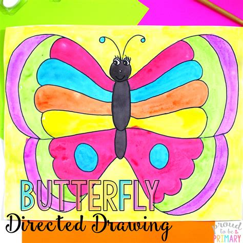 butterfly drawing with colour 1