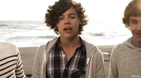 Harry What Makes You Beautiful What Makes You Beautiful One Direction Videos Nerd Life