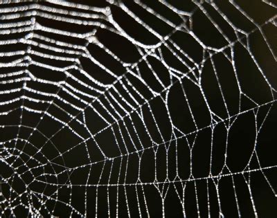 Navigating the Web of Scattered Spider: Understanding the Threat Landscape