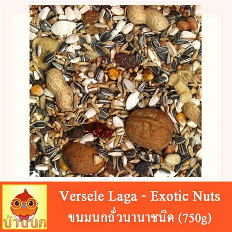 Versele Laga Exotic Nuts G Puket Stores