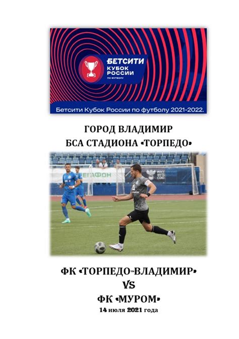 Клубная атрибутика - ФК «ТОРПЕДО-ВЛАДИМИР»