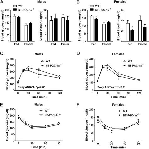 Whole Body Glucose Homeostasis In Nt Pgc 1α−− Mice Fed Hfd Ab