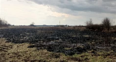 Osp Oro Sko I Jrg Szyd Owiec Wsp Lnie Ugasili Po Ar Skuteczna Akcja