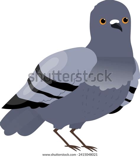 Detailed Pigeon Drawing Standing Looking Forward Stock Vector (Royalty ...