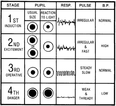 Pupil size chart for drugs - dkgast