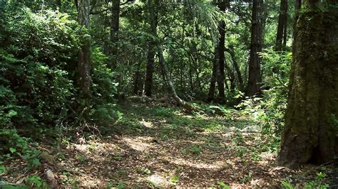 Search Rescue Gay In English Porn Feat Christopher Saint XHamster