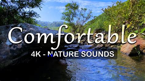 Peaceful Nature Sounds Comfortable And Relax With The Sound Of