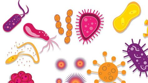 Virus SVG Bacteria SVG Germs Disease SVG Microbe Clip Art - Clipart ...