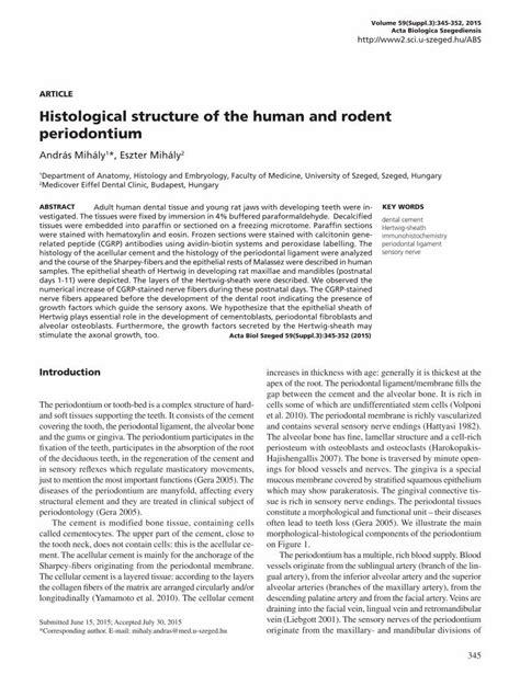 Pdf Article Histological Structure Of The Human And Rodent Hpd