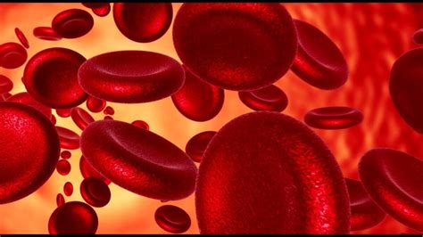 Какие продукты реально повышают гемоглобин | Ведьма под прикрытием ...