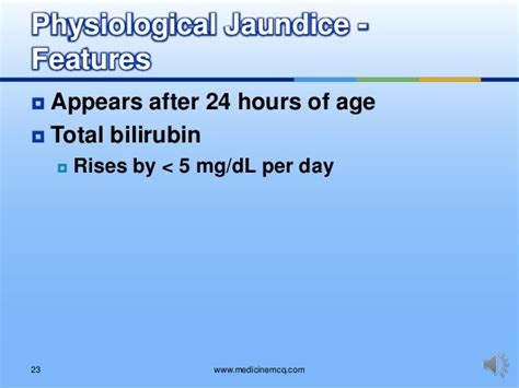 Liver Bilirubin Metabolism Physiological Jaundice