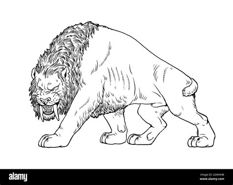 Coloring Pages Of Saber Tooth Tiger