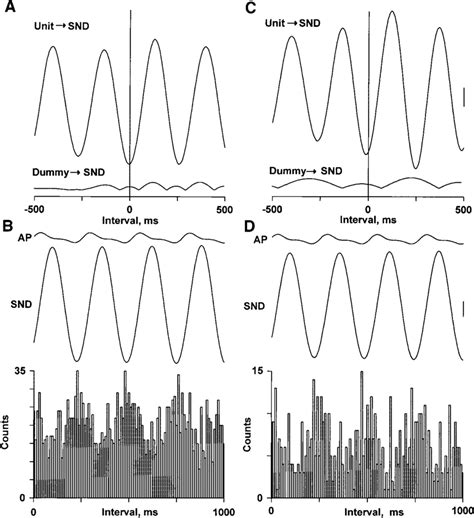 Time Domain Analysis Showing Effects Of Download Scientific Diagram