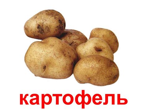 Детские Песни Про Овощи - airingcalifornia