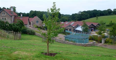 Miss Cellany Charlton Farm Childrens Hospice South West