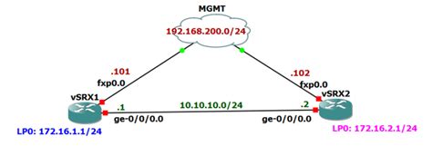 16 Preparing Junos Routing Laboratory RAYKA Are You A Network