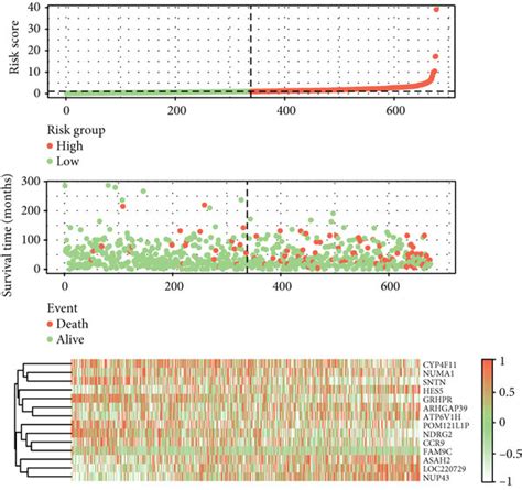 Construction And Validation Of The Prognostic Panel The Univariate Cox