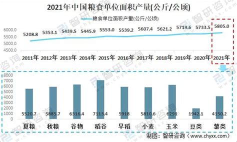 2021年中国粮食种植面积及产量分析：共有15个省市粮食单位面积产量超全国平均值 图 智研咨询