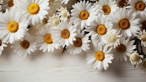 Premium AI Image | daisies for a bouquet